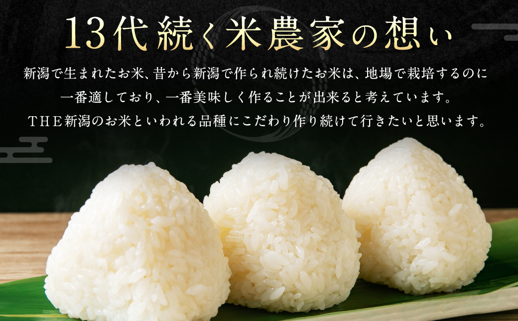 【新米受付・令和6年産米】NA4110 違いを楽しめるお米セット 新潟県産 コシヒカリ・ゆきん子舞・新之助　計6kg