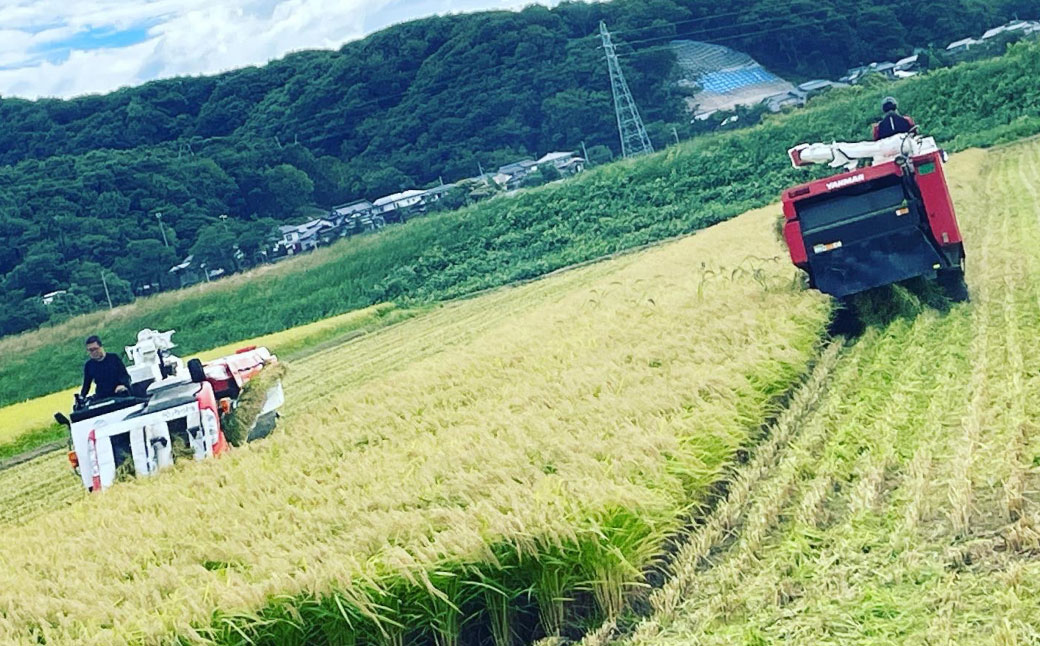 【令和5年産米】空舞米 新潟県岩船産 コシヒカリ 精米 12kg 1063001 