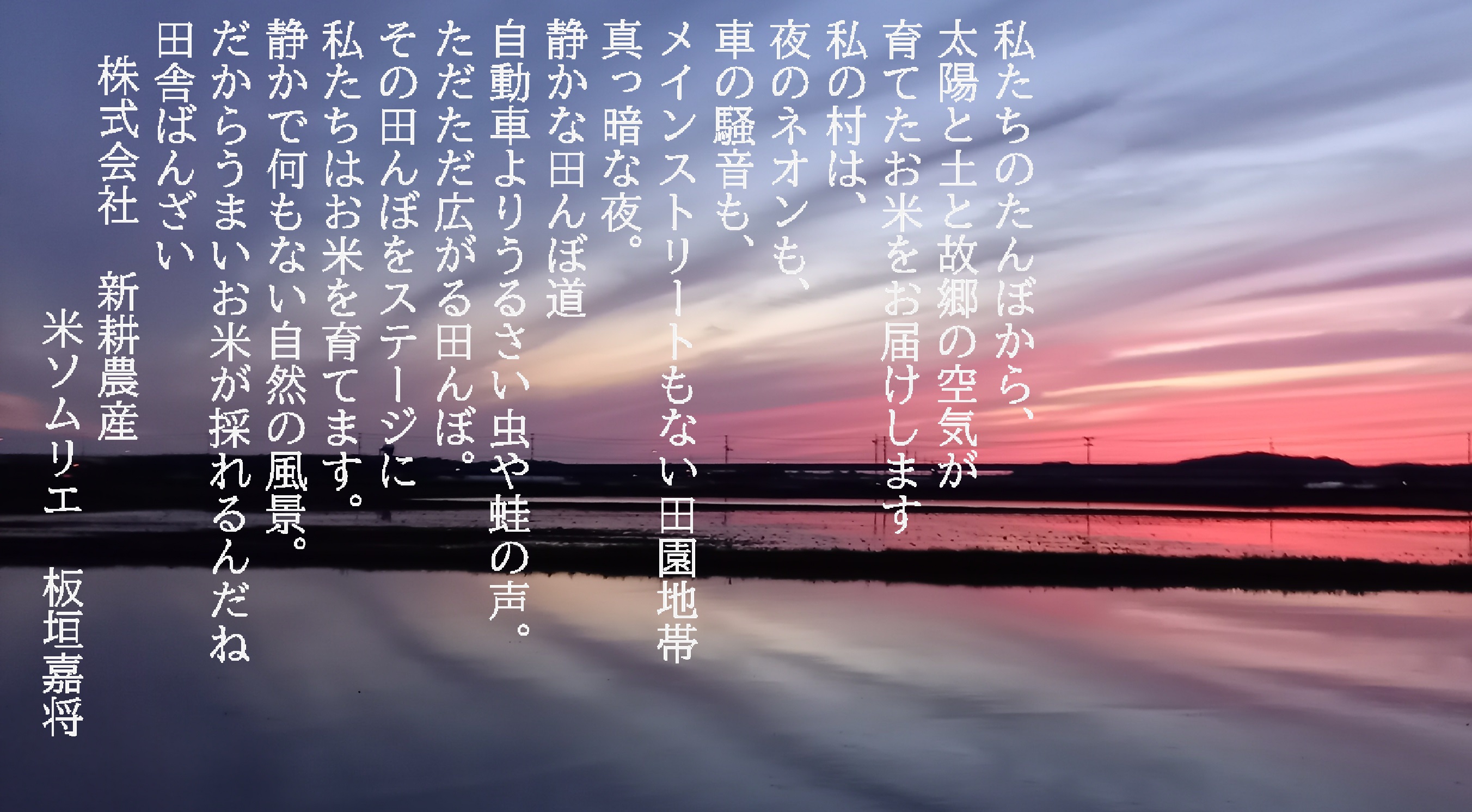 【新米受付・令和6年産米】NA4170 【新潟県岩船産】特別栽培米・ちょっと贅沢なこしひかり4kg＆古代米50ｇセット