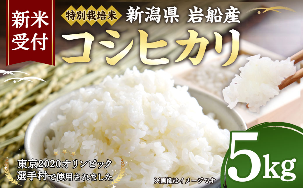 【新米受付・令和6年産米】NA4189 特別栽培米新潟県岩船産コシヒカリ5kg