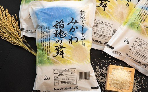 ＜令和3年産米＞ 新潟県阿賀町産 コシヒカリ「みかわ稲穂の舞」8kg（2kg×4袋）