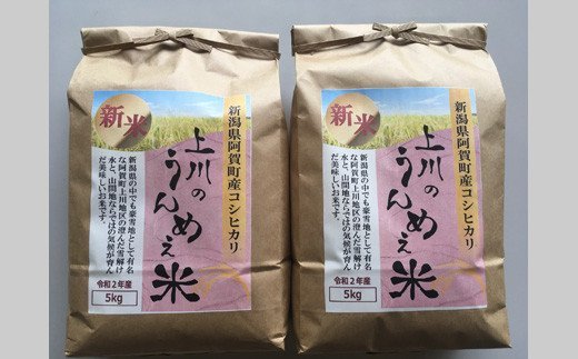 令和2年産米 阿賀町産こしひかり 上川のうんめぇ米 10kg 5kg 2袋 ふるさとパレット 東急グループのふるさと納税