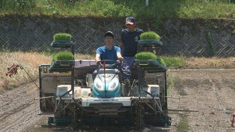 【早期予約】令和7年度産 肥沃な黒土で育ったお米 魚津市長引野産 富富富 5kg ※北海道・沖縄・離島への配送不可 ※2025年10月上旬～12月下旬頃に順次発送予定