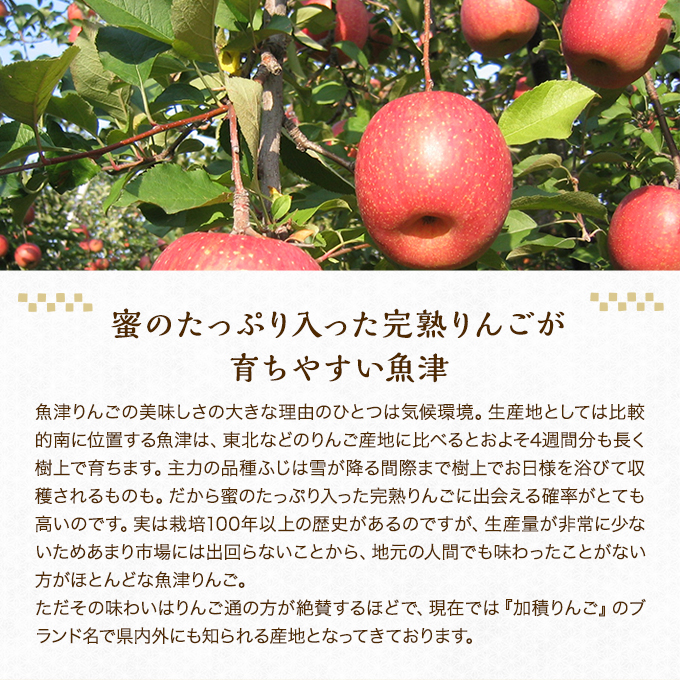 ふじたけ りんご ジュース  1リットル 3本入り ストレート果汁 100％ アップルジュース 林檎ジュース