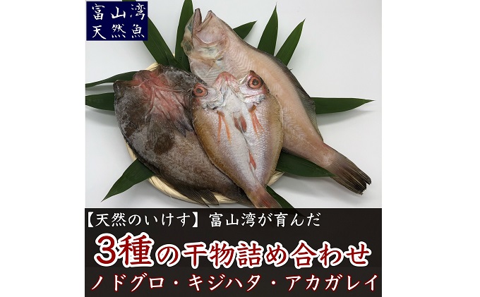 数量限定 富山湾産天然魚の干物3種詰め合わせ のどぐろ キジハタ アカガレイ ふるさとパレット 東急グループのふるさと納税