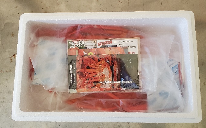 訳あり カニ 魚卸問屋のベニズワイガニ 約2kg 蟹 かに 紅ズワイガニ はりたや