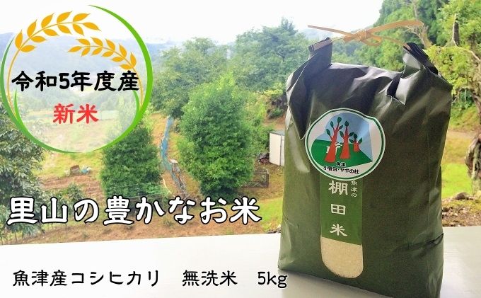 先行予約 米 令和5年 コシヒカリ 5kg 無洗米 棚田米 ヤギの杜 富山