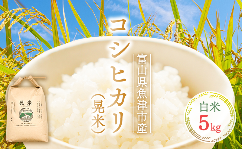 環境配慮「魚津のコシヒカリ（晃米）」5kg（白米）おこめ 富山県魚津市
