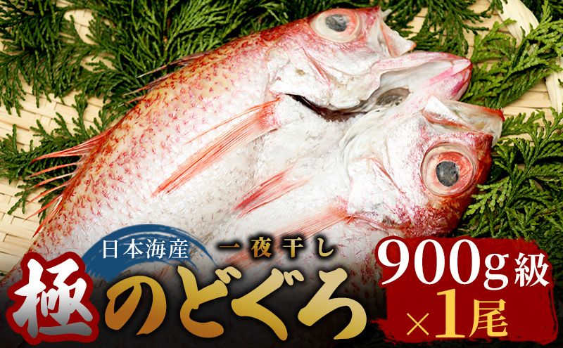 WK16-240．【蒸し】訳あり足折れご自宅用 日本海産親ガニ（セコガ二）10枚-