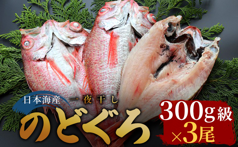 WK16-240．【蒸し】訳あり足折れご自宅用 日本海産親ガニ（セコガ二）10枚-