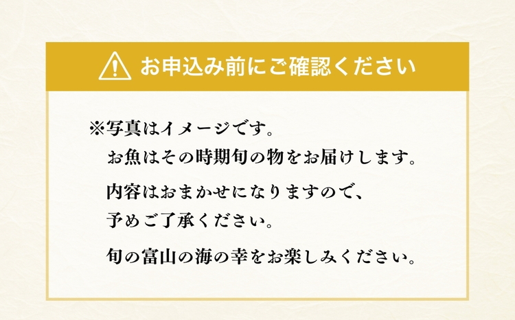 富山湾産おまかせ干物セット「御」 ※北海道・沖縄・離島への配送不可
