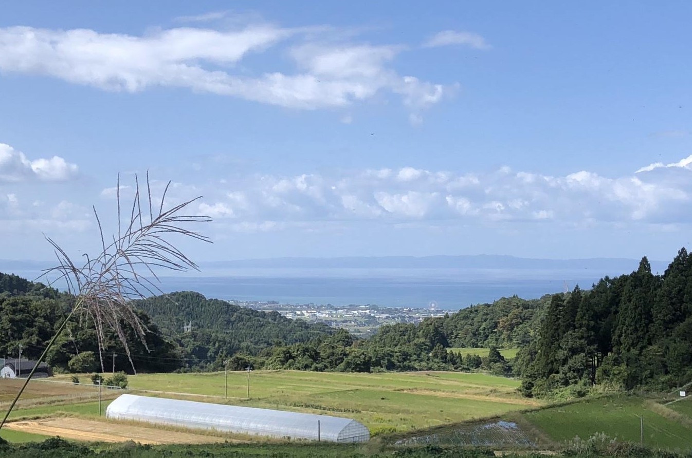 山の湧き水 寒暖差 山里 山里の米･坪野米 R6年産 てんたかく 5kg ｜新米 こめ コメ お米 おこめ 白米 精米 お弁当 おにぎり 香り うまみ あまみ 富山 魚津 ※北海道・沖縄・離島への配送不可