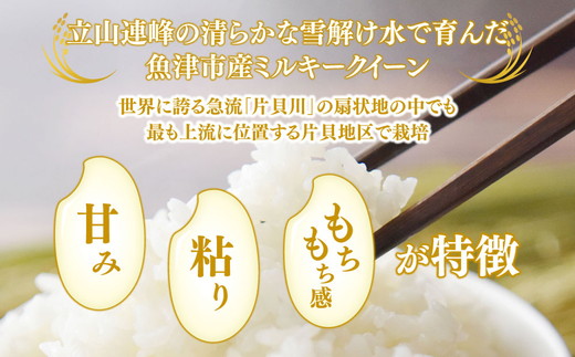 【6ヶ月定期便】【令和6年度米】「魚津のミルキークイーン（晃米）」20kg（白米） ｜ 環境配慮 MK農産 お米 ブランド米 銘柄米 精米 ご飯 おにぎり 産地直送 甘み 粘り もちもち ※2024年10月下旬頃より順次発送予定 ※北海道・沖縄・離島への配送不可