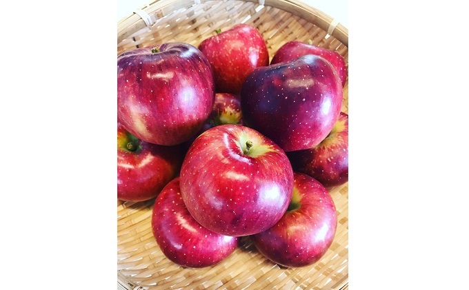 梨・リンゴのこだわりジュースセット（2本）　梨ジュース りんごジュース ストレート 100% 魚津 富山