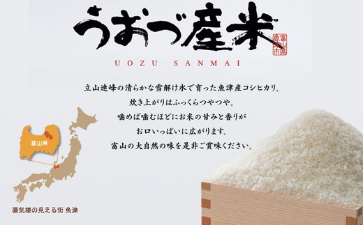 【令和6年度米】【定期便】15kg（5kg3袋）×6ヶ月定期便　富山県うおづ産米コシヒカリ  ※2024年10月中旬頃より順次発送予定 ※北海道、沖縄、離島配送不可