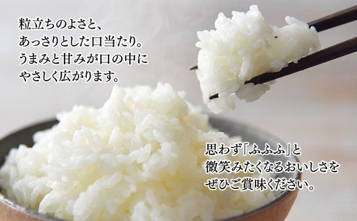 定期便 米 10kg (5kg×2袋) 6ヶ月 富富富 ふふふ 富山 こめ コメ お米 おこめ 白米 精米 6回 お楽しみ