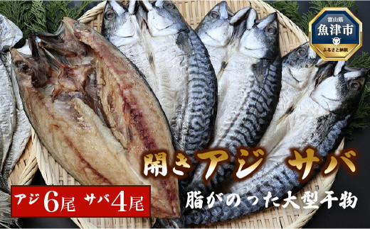 脂がのった大型干物 開きあじ6尾 開きサバ4尾 富山 魚津 浜浦水産 鯵 アジ 鯖 さば