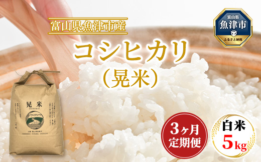 【3ヶ月定期便】【令和6年度米】「魚津のコシヒカリ（晃米）」5kg（白米） ｜ 環境配慮 MK農産 お米 ブランド米 銘柄米 精米 ご飯 おにぎり 産地直送 甘み 旨味 香り ※2024年9月中旬頃より順次発送予定 ※北海道・沖縄・離島への配送不可