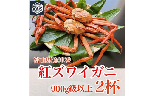 魚卸問屋のベニズワイガニ 900g級以上×2杯 はりたや ※2024年12月上旬～2025年5月下旬頃に順次発送予定 ※北海道・沖縄・離島への配送不可