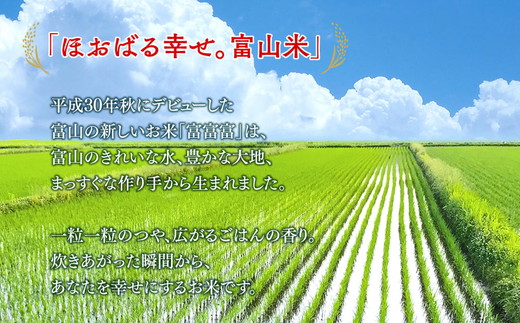 【12ヶ月定期便】富山米「富富富」15kg（白米5kg×3袋） ※2024年10月中旬頃より順次発送予定 ※北海道・沖縄・離島への配送不可