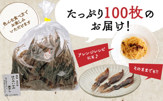 【12か月定期便】ほたるいか 素干し 100枚 ｜ おつまみ 肴 ハマオカ海の幸 定期便 魚貝類 干物 加工品 いかの干物 ホタルイカの干物 お酒のあて 日本酒に合う 晩酌 ※北海道・沖縄・離島への配送不可