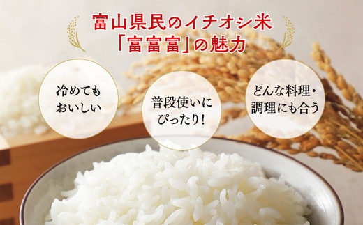 定期便 米 10kg (5kg×2袋) 6ヶ月 富富富 ふふふ 富山 こめ コメ お米 おこめ 白米 精米 6回 お楽しみ