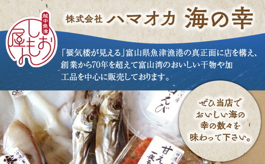 富山の干物専門店 伝承の紅鮭6切／開きあじ4尾 ハマオカ海の幸 ※北海道・沖縄・離島への配送不可