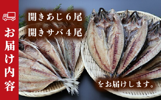 脂がのった大型干物 開きあじ6尾 開きサバ4尾 富山 魚津 浜浦水産 鯵 アジ 鯖 さば