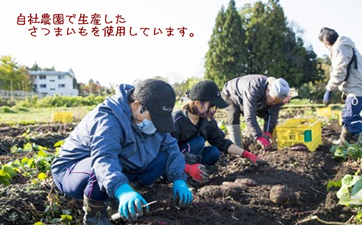 【ぶどうの森】冷凍アチイモ ×４袋　べにはるか【焼き芋 焼いも やきいも 国産】　※2025年1月中旬〜7月下旬頃に順次発送予定