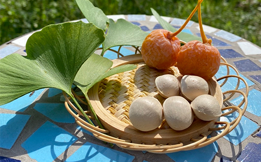 桃山ぶどう園の『ぎんなん(殻付き)』Ｌサイズ　約1kg　※北海道・沖縄・離島への配送不可　※2024年11月上旬頃より順次発送予定