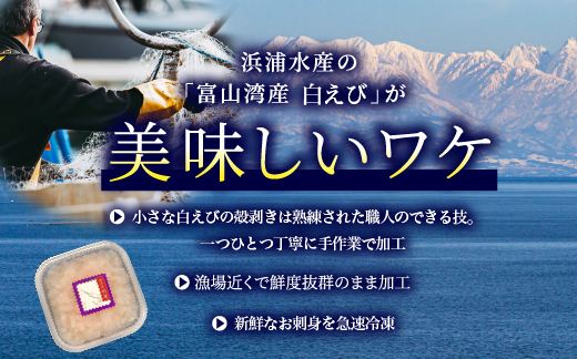 白えび 刺身 富山湾の宝石しろえび 100g×2個 200g セット 浜浦水産 おつまみ つまみ エビ お刺身 魚介 魚介類 海鮮