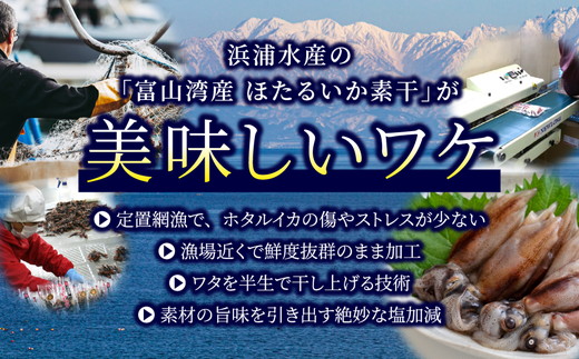 【大量シェア】ホタルイカ素干2.5kg（25g×100袋）：浜浦水産シェアセット