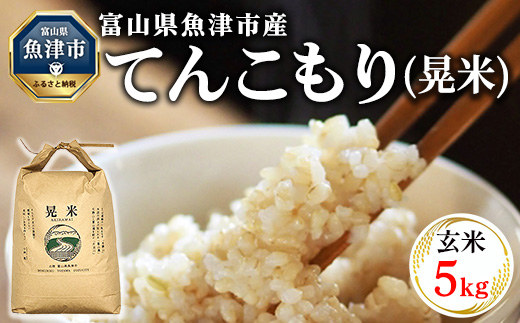 【令和6年度米】環境配慮「魚津のてんこもり（晃米）」5kg（玄米） ｜ MK農産 玄米 銘柄米 ご飯 おにぎり お弁当 和食 主食 国産 産地直送 甘み 香り もちもち ※2024年10月下旬頃より順次発送予定 ※北海道・沖縄・離島への配送不可