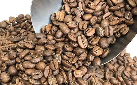【6ヶ月定期便】自家焙煎コーヒー豆専門店とみかわの「グアテマラ　サンタバーバラ」500g（豆）