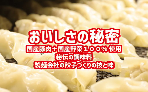 ジャンボ餃子5粒入りタレ付10個セット 惣菜 おかず　石川製麺