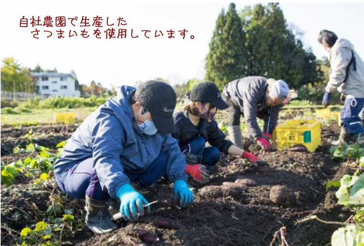 【ぶどうの森】訳あり：ドライモお楽しみセット ｜ ほしいも ほし芋 干し芋 干しいも 国産 野菜 サツマイモ さつまいも ※北海道・沖縄・離島への配送不可 ※2025年1月中旬～4月下旬頃に順次発送予定