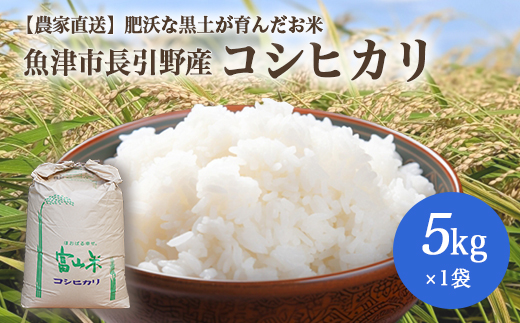 【早期予約】令和7年度産 肥沃な黒土で育ったお米 魚津市長引野産 こしひかり 5kg ※北海道・沖縄・離島への配送不可 ※2025年10月上旬～12月下旬頃に順次発送予定