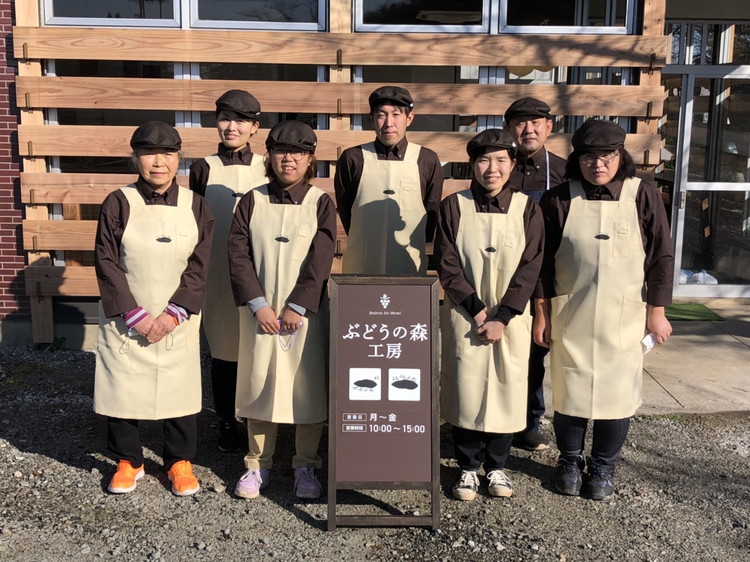 【ぶどうの森】訳あり：ドライモお楽しみセット ｜ ほしいも ほし芋 干し芋 干しいも 国産 野菜 サツマイモ さつまいも ※北海道・沖縄・離島への配送不可 ※2025年1月中旬～4月下旬頃に順次発送予定