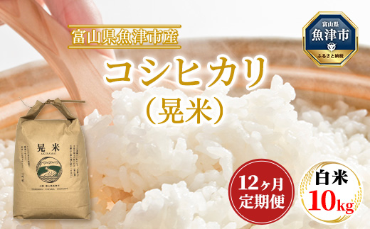 【12ヶ月定期便】【令和6年度米】「魚津のコシヒカリ（晃米）」10kg（白米） ｜ 環境配慮 MK農産 お米 ブランド米 銘柄米 精米 ご飯 おにぎり 産地直送 甘み 旨味 香り ※2024年9月中旬頃より順次発送予定 ※北海道・沖縄・離島への配送不可