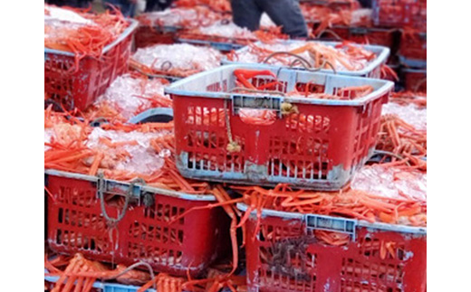 【冷凍】魚卸問屋の紅ズワイガニむき身（棒身400ｇ・ミックス400g）合計約800ｇ　※2023年9月下旬〜2024年5月中旬頃に順次発送予定