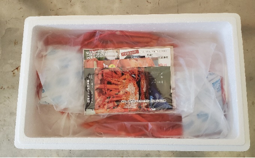 訳あり カニ 魚卸問屋のベニズワイガニ 約2kg 蟹 かに 紅ズワイガニ はりたや　※2023年10月上旬〜2024年5月下旬頃に順次発送予定