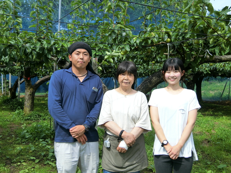 【早期予約】魚津：林秋男果樹園の完熟梨「幸水」5kg｜フルーツ なし 富山県魚津市　※北海道・沖縄・離島への配送不可　※2024年8月中旬頃より順次発送予定