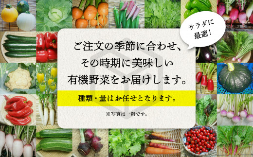 【有機JAS認定サラダ野菜】西田農園　季節の野菜詰合せ　6ヶ月定期便   060011