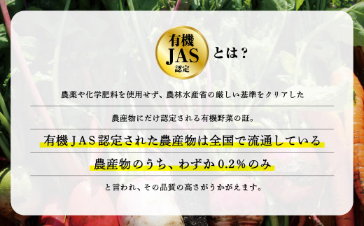 【有機JAS認定サラダ野菜】西田農園　季節の野菜詰合せ　Ｂセット  017002