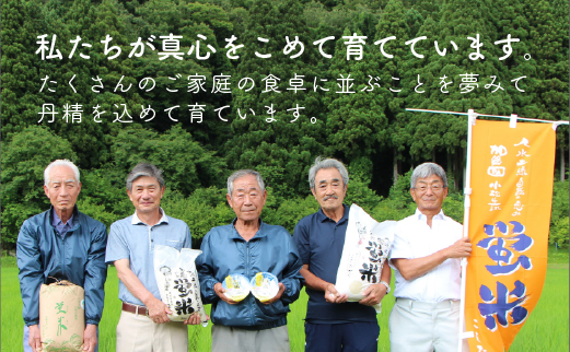 令和5年産「 特別栽培米コシヒカリ 」蛍米 精米 10kg ( 5kg × 2袋 ) 《 定期便 6ヶ月 》125002