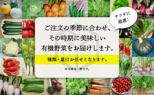 【有機JAS認定サラダ野菜】西田農園　季節の野菜詰合せ　Ｂセット  017002