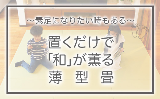 【置くだけでくつろげる畳空間に】 8ミリ置き畳「凪-NAGI-」 1枚 037004