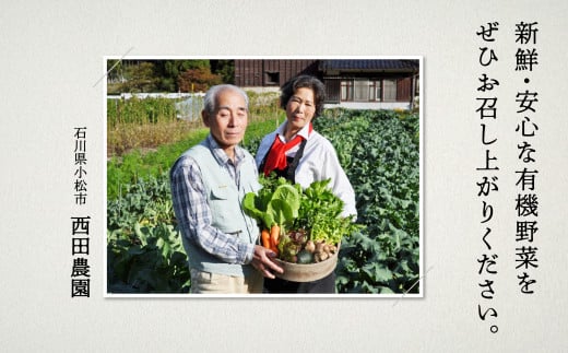 030071. 【有機JAS認定サラダ野菜】西田農園　季節の野菜詰合せ　3ヶ月定期便