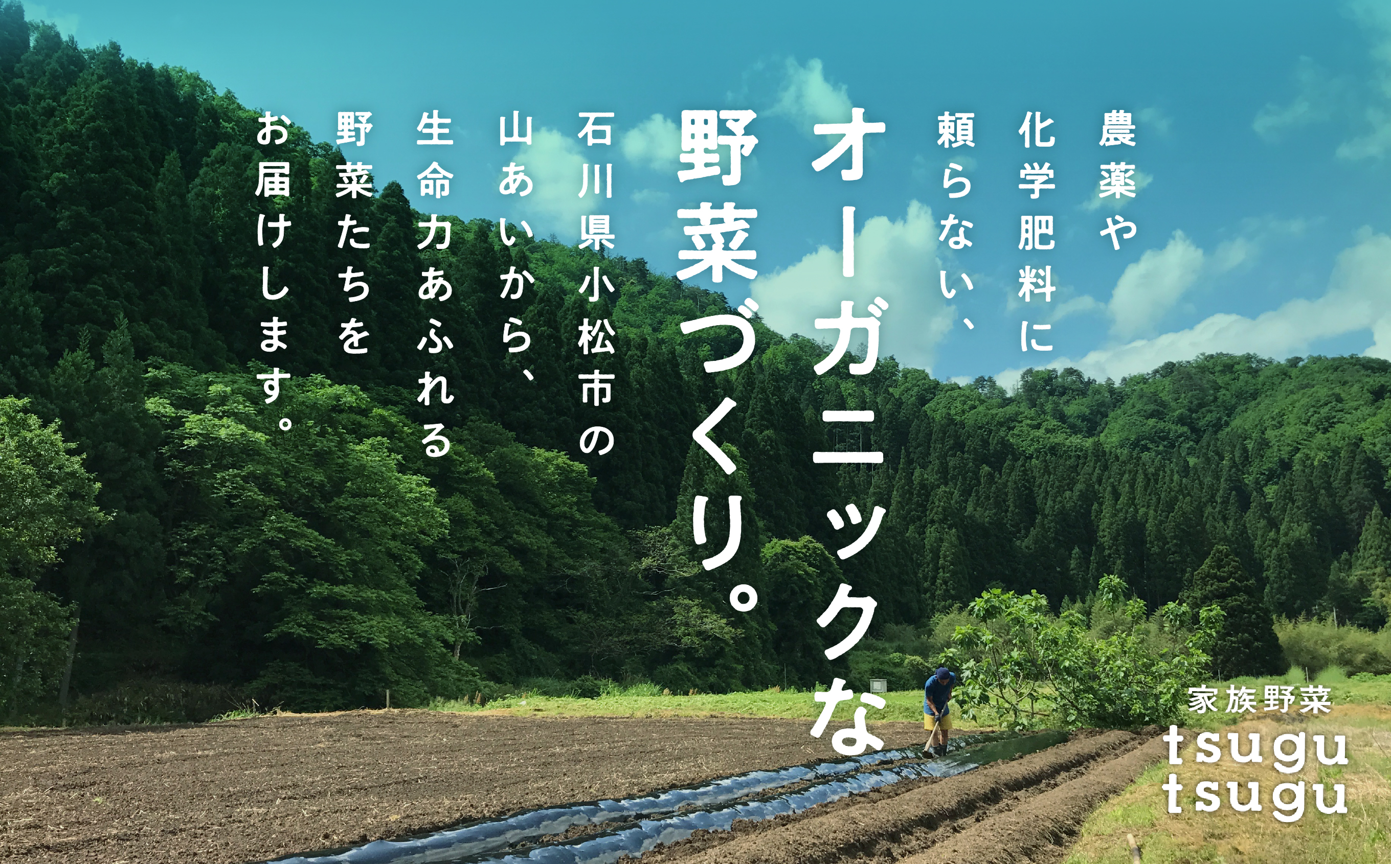 【農薬・化学肥料不使用】ねっとり甘〜い おいもさん（紅はるか） 2.5kg