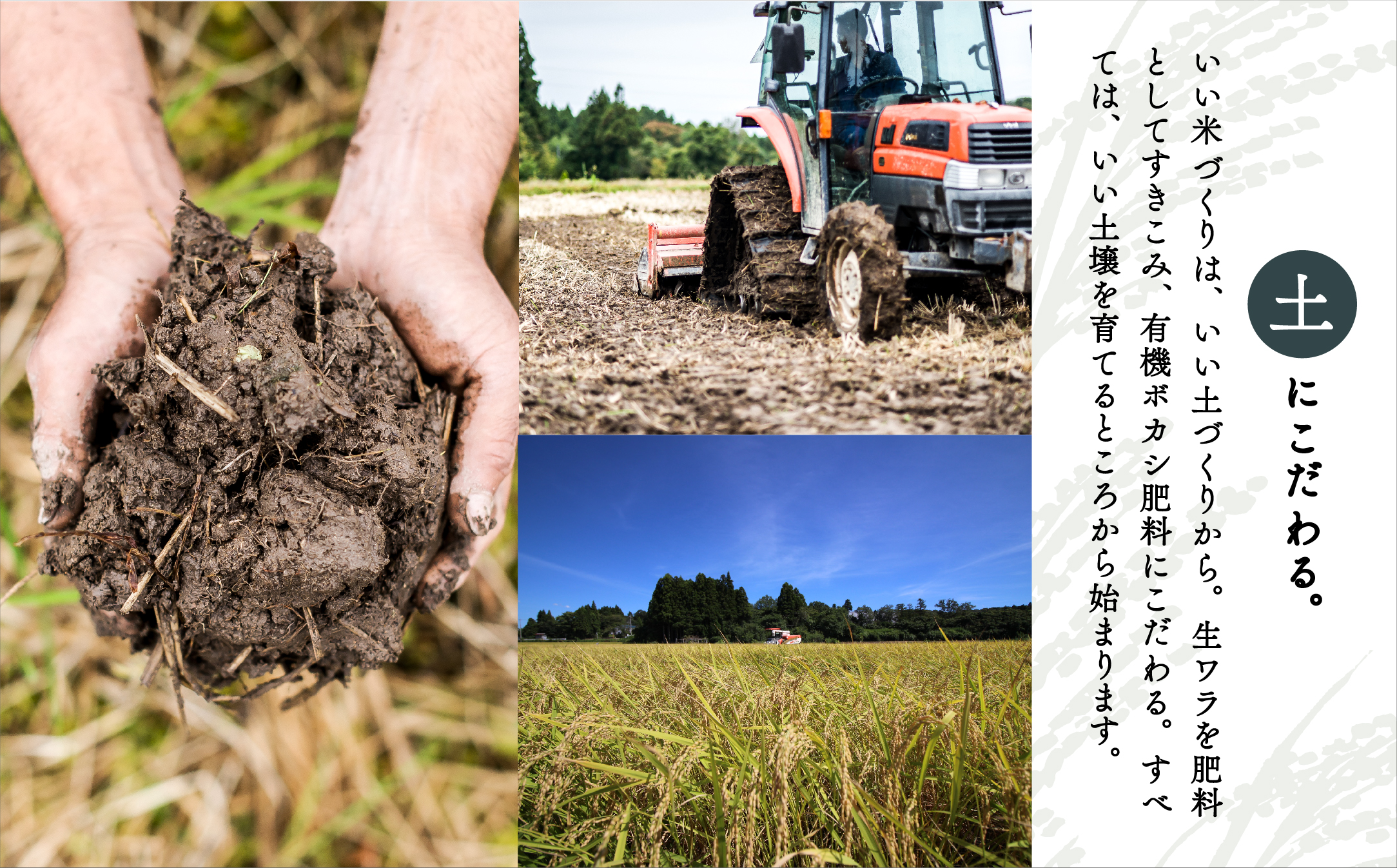 【有機JAS認定】有機栽培米こしひかり 5kg　016019
